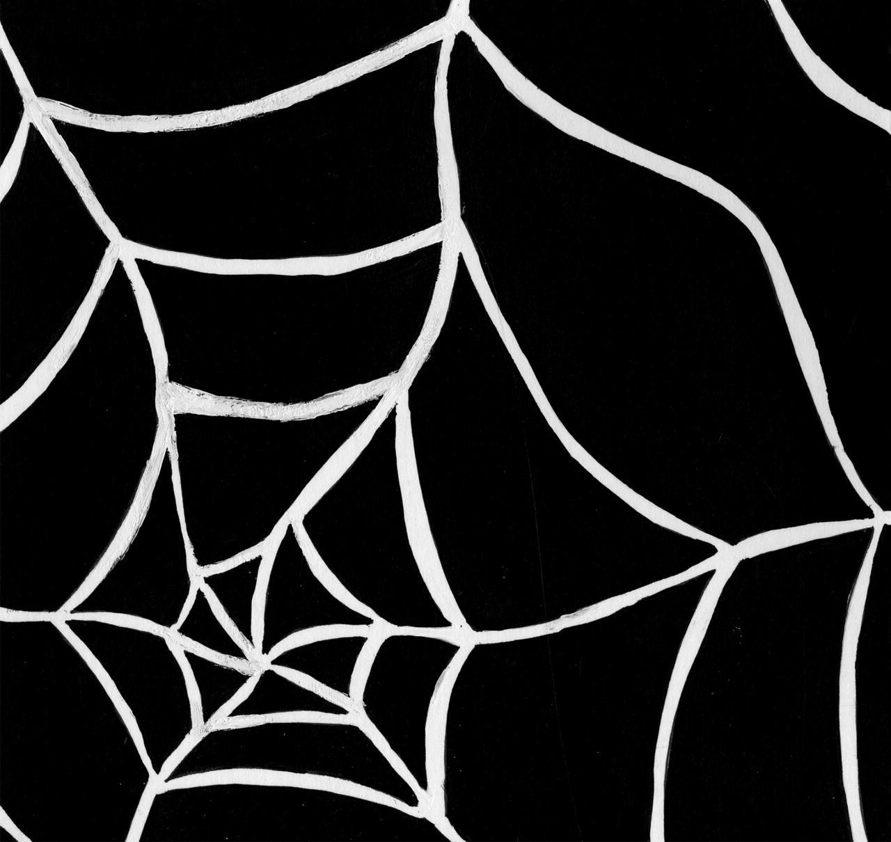 艾米丽·奥古斯丁的概念蜘蛛插图