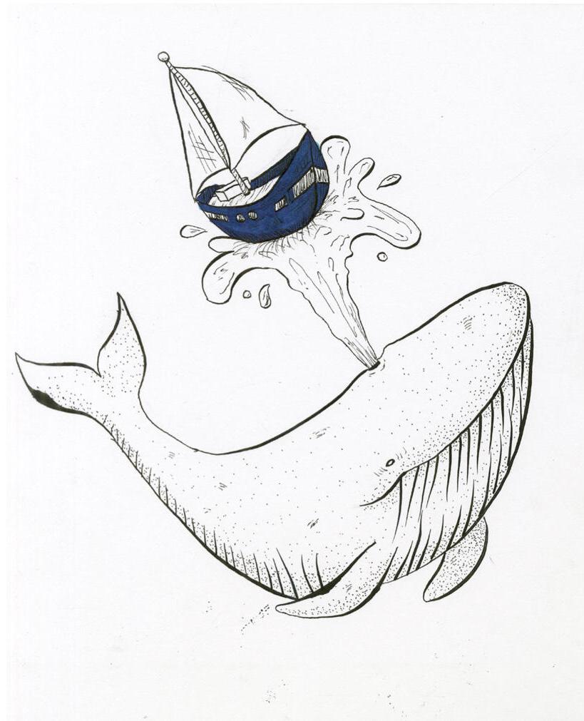 道格拉斯·汤姆斯的帆船插画系列